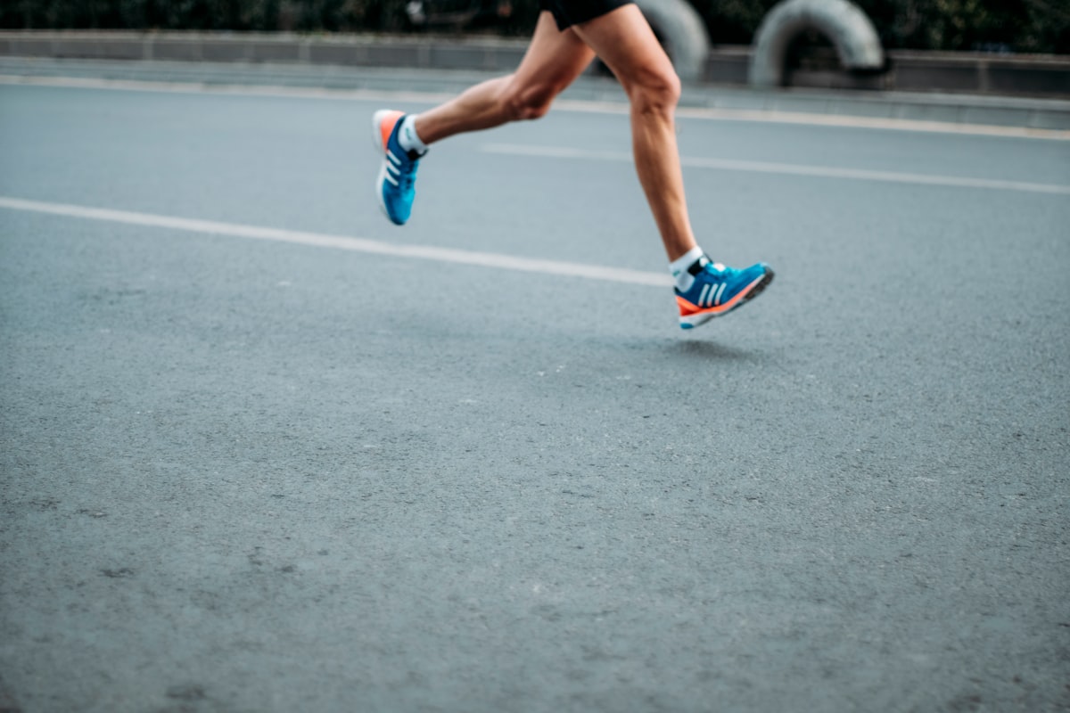 Amino acids and muscle development